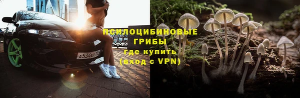 соль ск Алзамай