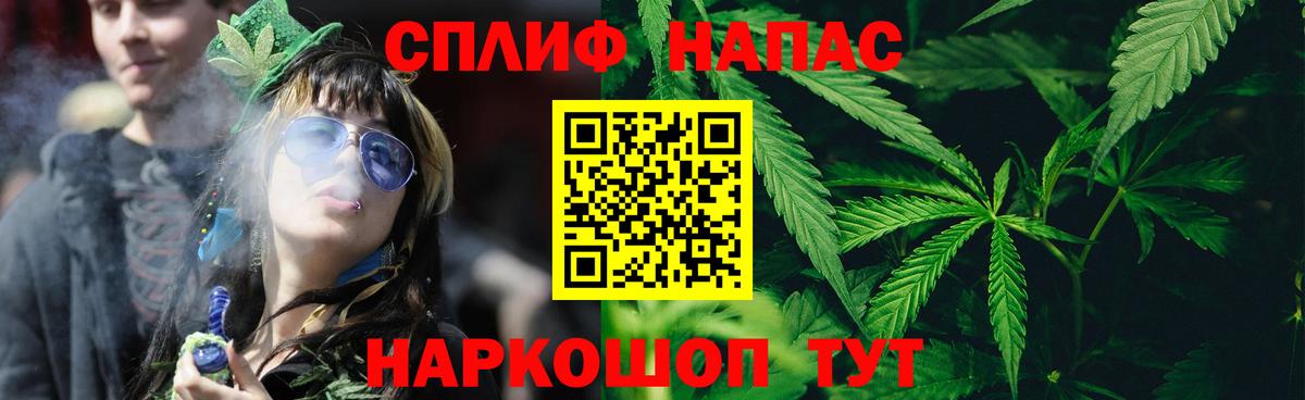 Бошки марихуана Amnesia Слободской
